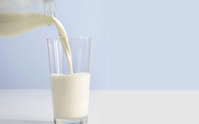 Non-dairy milk options