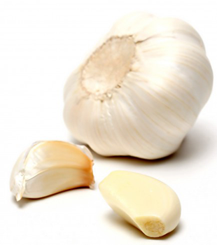 Garlic and Botulism