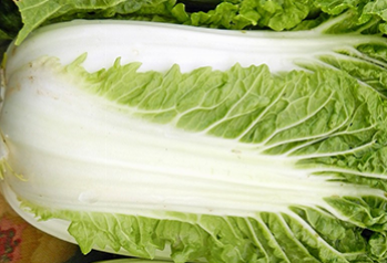 How to choose and use chinese cabbage