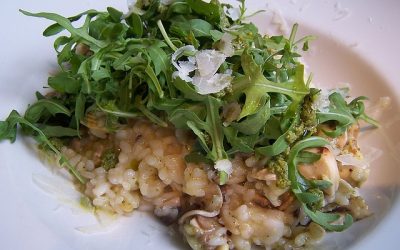 Low-FODMAP chicken and wild rice risotto – slow-cooker – 4-8 hours
